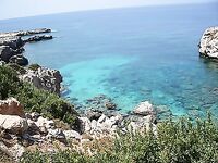 Полуостров Карпас и дикие ослы на дороге