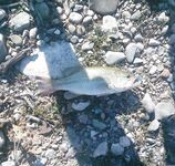 Кипр, фотоотчёт