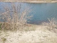 Кипр, неделя рыбалки и вечерний трофей