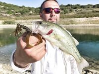 Кипр, Эврету и три дня бассовой охоты