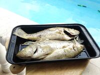 Кипр, Эврету и три дня бассовой охоты