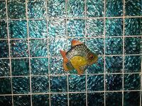 Морское настроение дома