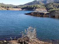 Ретроспектива: куст и розовый диван