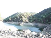 Полис и трудный поиск дороги к водоёму