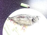 Утреннее море и потерянная крупная рыба