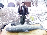 Разговор о «Аспро» и женыных планах