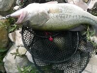 Апрельский Пафос и фатик от Tsuribito