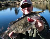 Дополнение к отчёту о Кипре