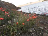 Серия на Кипре: трофеи и призыв не есть рыбу