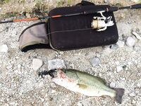 Айя-Напа, Гермасоя и Курис: первая встреча с кипрским бассом