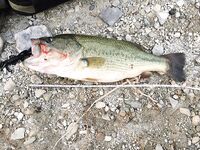 Айя-Напа, Гермасоя и Курис: первая встреча с кипрским бассом