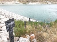 Курис: первое утро и победа Гарри Ямомото