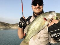 Ноябрьская рыбалка на Кипре: 9 бассиков в первый день