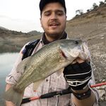 Ноябрьская рыбалка на Кипре: 9 бассиков в первый день