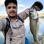 Ноябрьская рыбалка на Кипре: 9 бассиков в первый день