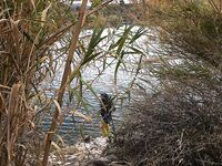 Ноябрьская рыбалка на Кипре: 9 бассиков в первый день