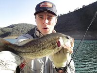 Лефкара и Пафос: опыт весенних и осенних поездок