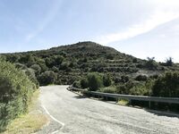 Три дня на Кипре: департамент, Эврету и апельсины с дерева