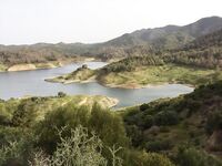 Три дня на Кипре: департамент, Эврету и апельсины с дерева