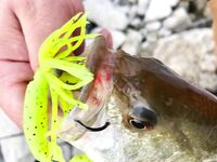 Три дня на Кипре: департамент, Эврету и апельсины с дерева