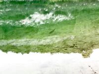 Три дня на Кипре: департамент, Эврету и апельсины с дерева