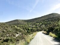 Три дня на Кипре: департамент, Эврету и апельсины с дерева