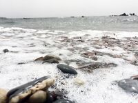 Три дня на Кипре: департамент, Эврету и апельсины с дерева