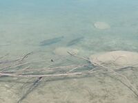 Эврету, Аспра и Курис — воспоминание о рыбалке год назад