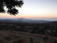 Лефкара — красивая дамба и крупная рыба в Курисе