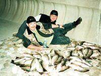 Когда-то на Курисе клевало...