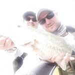 Новости с Куриоса: трофеи есть!