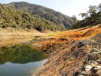 Аспрокреммос, Эврету, Канавью: весенняя статистика