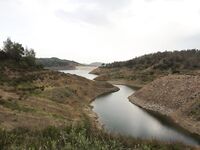 Канавью и маки: весенний отчёт без трофеев