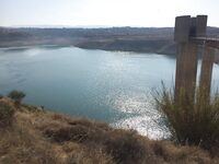 О приманках, Канавью и универсальном Niakis