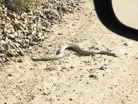 Морская рыбалка на Северном и Протарасе: первые выводы