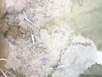 Забываю фотки, но не рыбалку