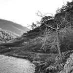 Ассоциация, бассы и карточка рыболова