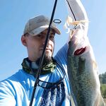 Канавью, пес-гость и четыре поклёвки подряд