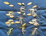 Одни из тех, кто не сдается на Кипре