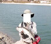 Эврету, судак на воблер под солнцем