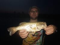 Результаты прошлой вылазки по кипрским дамбам