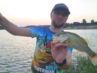 Результаты прошлой вылазки по кипрским дамбам