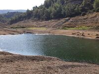 Канавью — вода уходит, басс остаётся