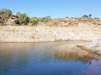 Запад Канавью и дельфин-басс на поппер Гарри