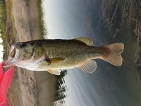 Закрытие сезона на Канавью: резина, солнце и тишина