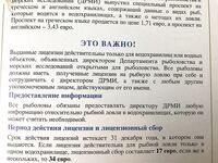 Калавасос на рассвете и три басса Юры с Протараса