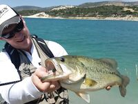 Весенний постнерестовый басс и золотое время кипрских дамб