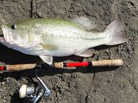 Фотоотчёт с разными приманками и местами