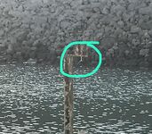 Эврету, залив у трубы — один заброс и красавец!