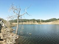 Пятничный облом и первый килошник у кустов